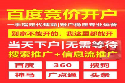 竞价排名策略案例：广告效果最大化技巧